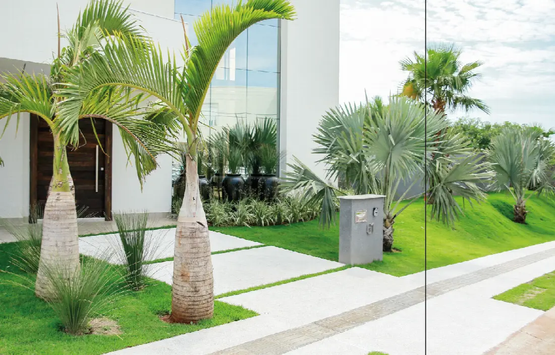 Jardim residencial projetado pela Vitrine Verde