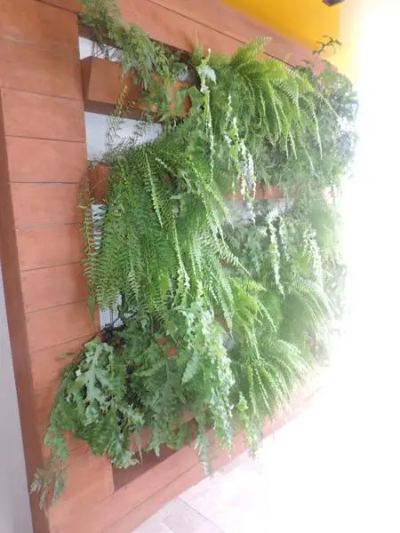 Clínica Imunitá — foto 8