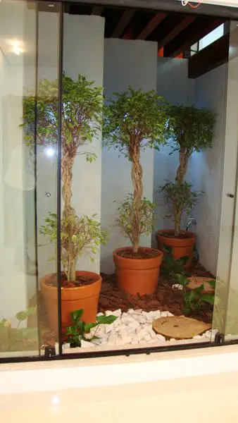 Espaço da Plástica — foto 12