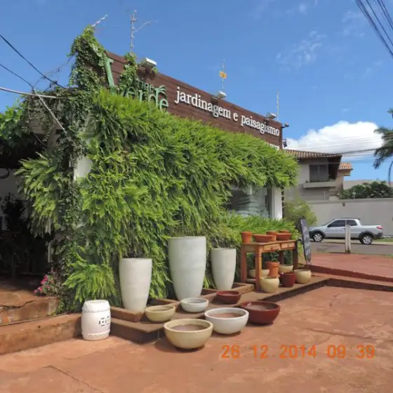 Fonte Vietnamita — foto 8