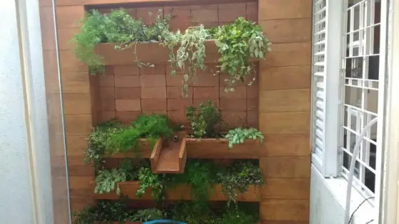 Jardim Vertical — foto 46