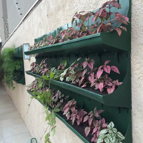 Jardim Vertical — foto 88