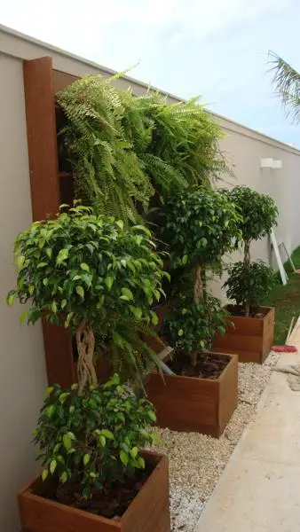 Jardim Vertical — foto 66