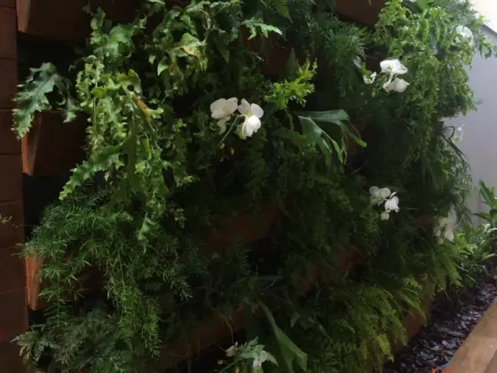 Jardim Vertical — foto 24