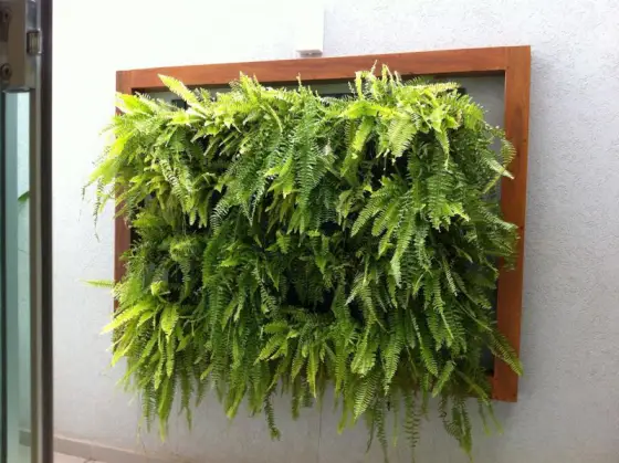 Jardim Vertical — foto 11