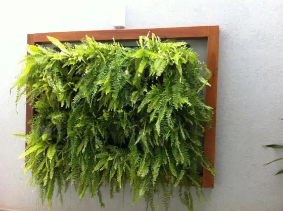 Jardim Vertical — foto 12