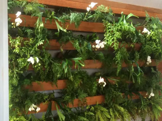 Jardim Vertical — foto 18