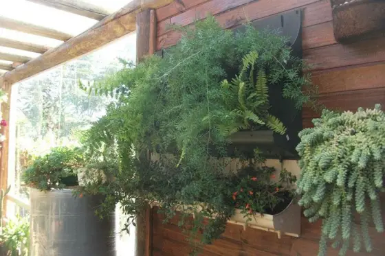 Jardim Vertical — foto 101