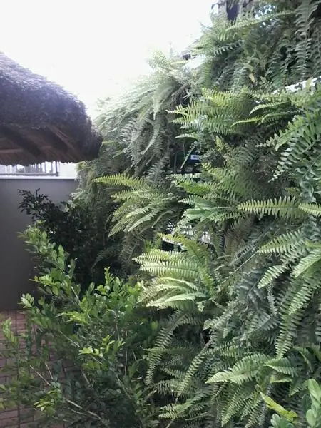 Jardim Vertical — foto 27