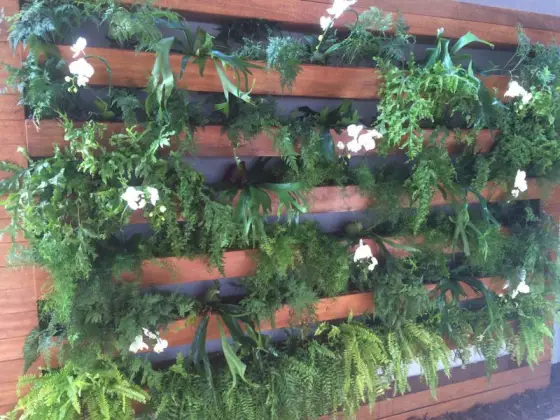 Jardim Vertical — foto 19