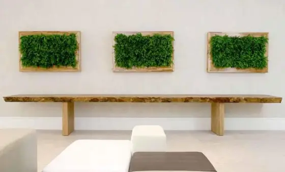 Jardim Vertical — foto 108