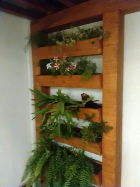Jardim Vertical — foto 59