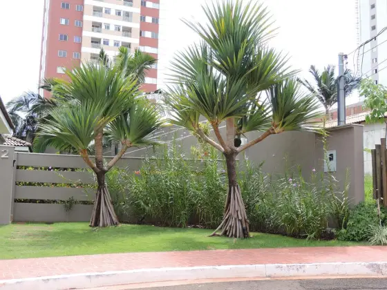 Residência CC — foto 4