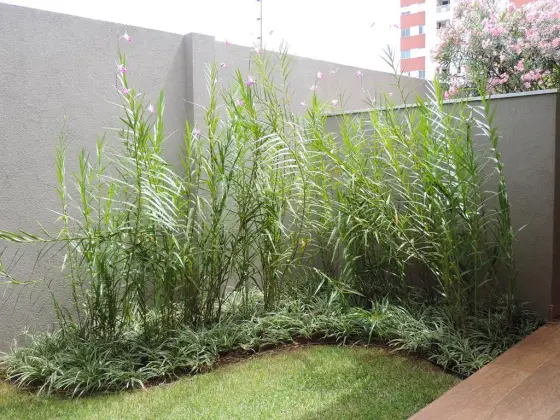 Residência CC — foto 10