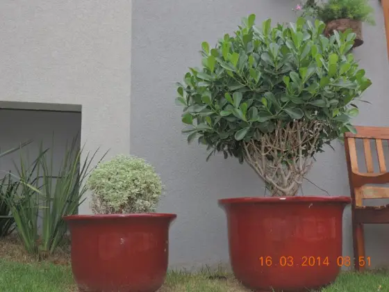 Residência DP2 — foto 24