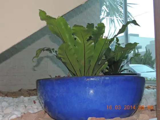 Residência DP2 — foto 32