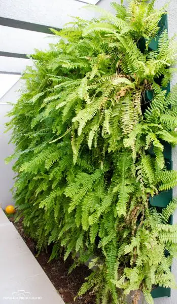 Residência DP2 — foto 7