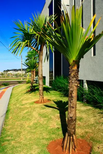 Residência DP2 — foto 53