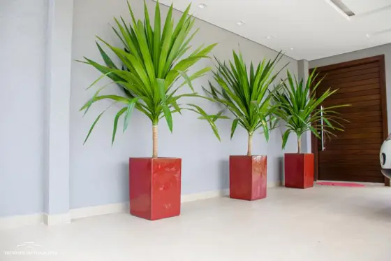 Residência DP2 — foto 1
