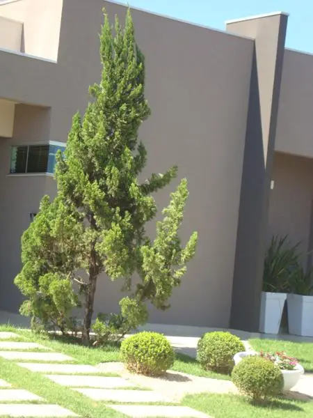 Residência DP3 — foto 6