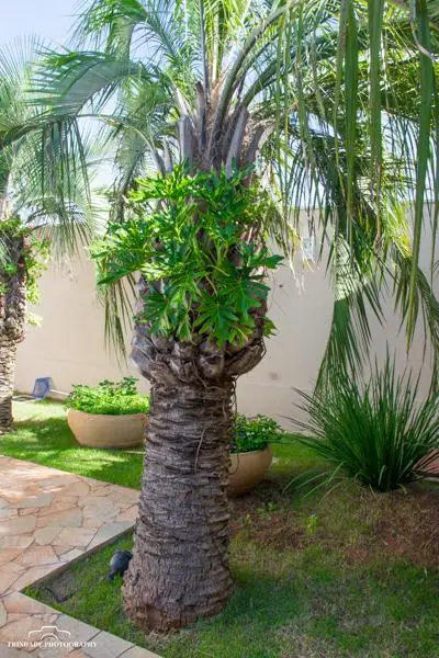 Residência DP4 — foto 4