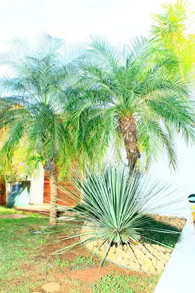 Residência FB — foto 15
