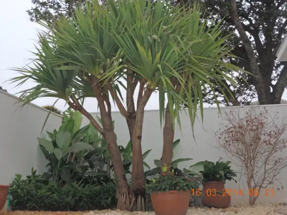 Residência NR — foto 2