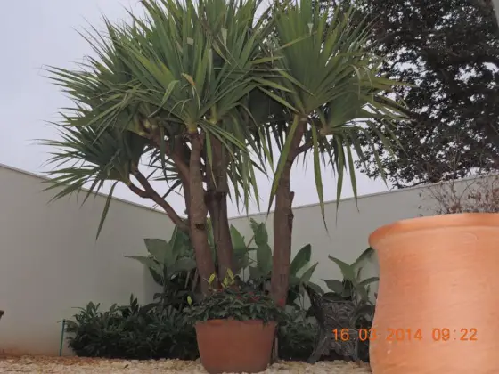 Residência NR — foto 3