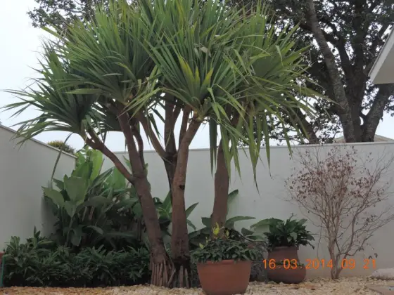 Residência NR — foto 1
