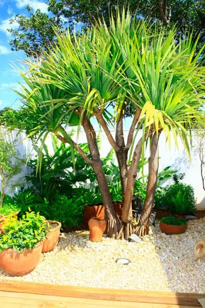 Residência NR — foto 34
