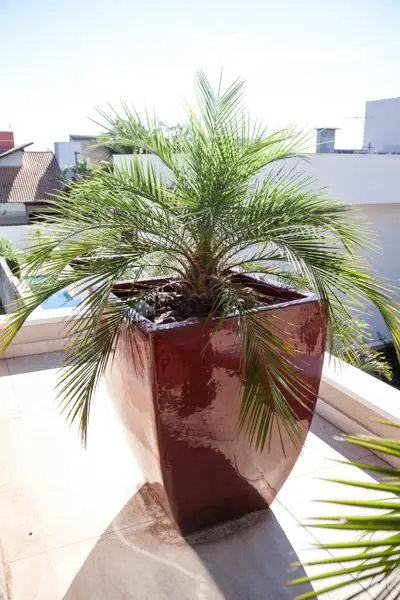 Residência RA — foto 39