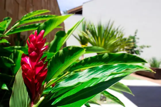 Residência RA — foto 10