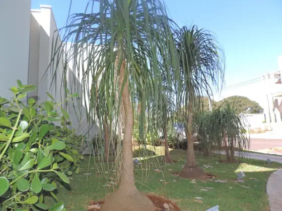 Residência RA — foto 45