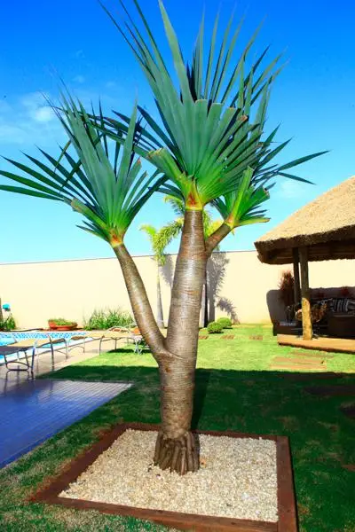 Residência RK — foto 36