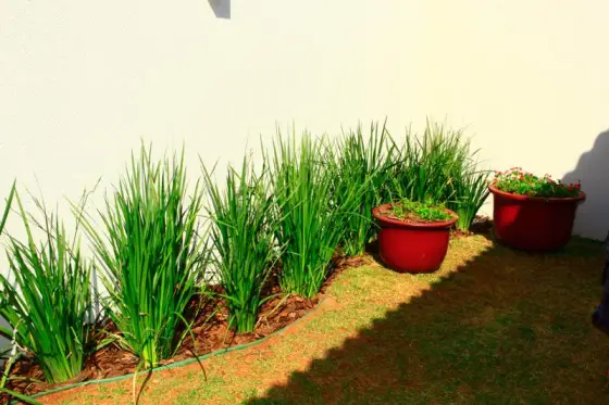 Residência TZ — foto 4