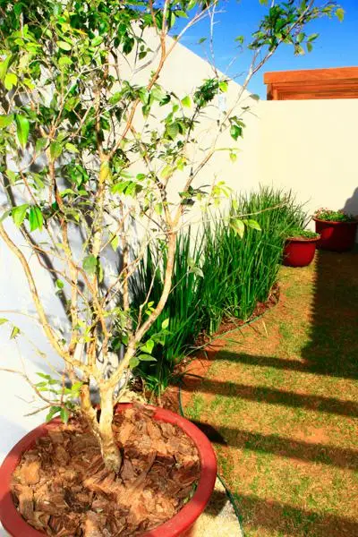Residência TZ — foto 7