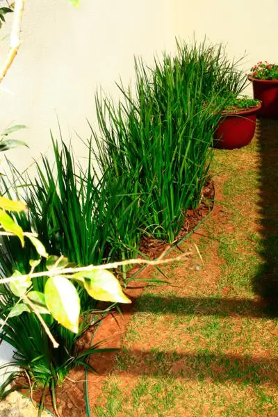 Residência TZ — foto 6