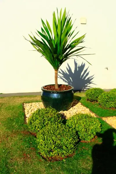 Residencial Alphaville II — foto 11