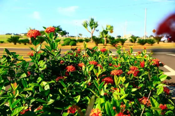 Residencial Alphaville II — foto 42