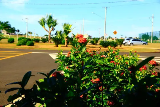 Residencial Alphaville II — foto 41