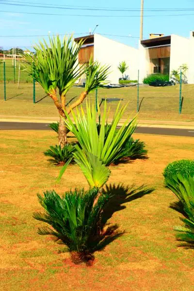 Residencial Alphaville II — foto 21