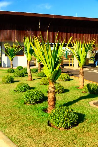 Residencial Alphaville II — foto 38