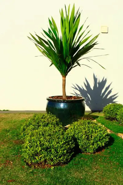 Residencial Alphaville II — foto 12