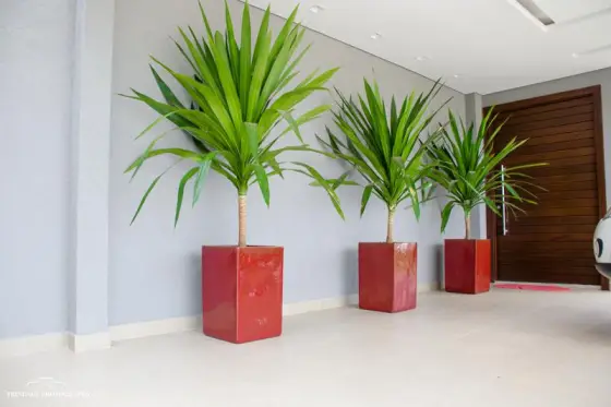 Vasos Vietnamitas