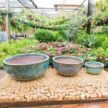 Vaso VV 03 na cor verde