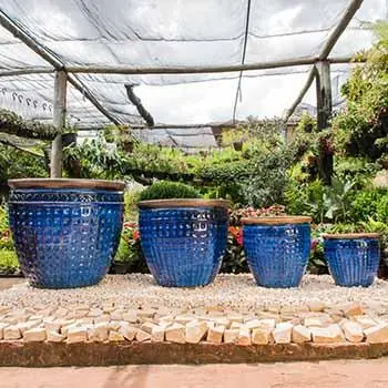 Vaso VV 05 na cor azul