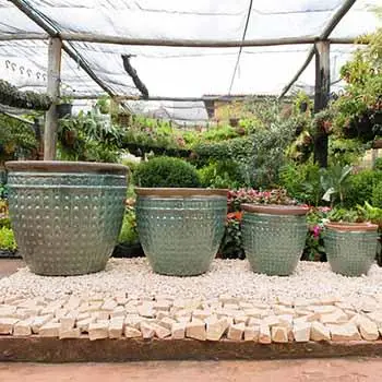 Vaso VV 05 na cor verde